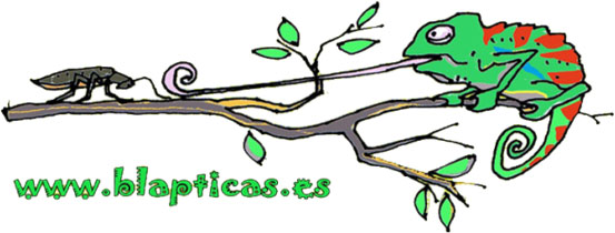 Logo-Blapticas.es